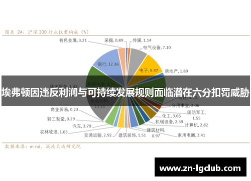 埃弗顿因违反利润与可持续发展规则面临潜在六分扣罚威胁 埃弗顿因违反利润与可持续发展规则面临潜在六分扣罚威胁