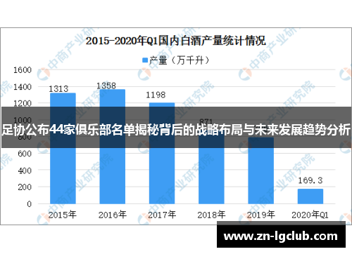 足协公布44家俱乐部名单揭秘背后的战略布局与未来发展趋势分析