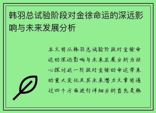 韩羽总试验阶段对金徐命运的深远影响与未来发展分析 韩羽总试验阶段对金徐命运的深远影响与未来发展分析